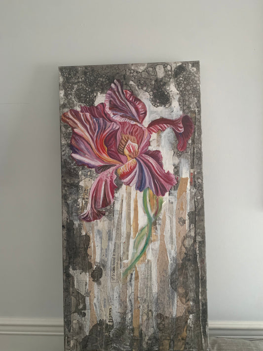 iris incarnation